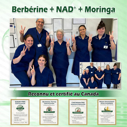Boutique officielle 🔥🔥 𝐋𝐔𝐗𝐀𝐑𝐈𝐒𝐄® Moringa · Berbérine + NAD+ – Timbre nano à micro‑aiguilles 10‑en‑1 avancé (1× par jour, résultats visibles en 7 jours) | Gestion du poids, relâchement cutané, sommeil, articulations, etc.