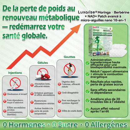Boutique officielle 🔥🔥 𝐋𝐔𝐗𝐀𝐑𝐈𝐒𝐄® Moringa · Berbérine + NAD+ – Timbre nano à micro‑aiguilles 10‑en‑1 avancé (1× par jour, résultats visibles en 7 jours) | Gestion du poids, relâchement cutané, sommeil, articulations, etc.